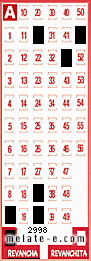 Volante ganador del sorteo 2998 de Revancha