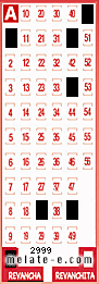 Volante ganador del sorteo 2999 de Revancha