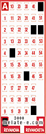 Volante ganador del sorteo 3000 de Revancha