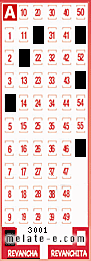 Volante ganador del sorteo 3001 de Revancha