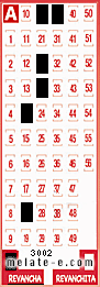 Volante ganador del sorteo 3002 de Revancha