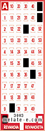 Volante ganador del sorteo 3003 de Revancha