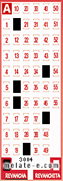 Volante ganador del sorteo 3004 de Revancha