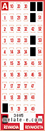 Volante ganador del sorteo 3005 de Revancha