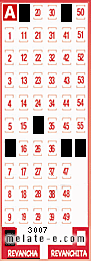Volante ganador del sorteo 3007 de Revancha