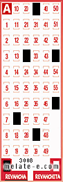 Volante ganador del sorteo 3008 de Revancha