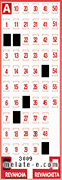 Volante ganador del sorteo 3009 de Revancha
