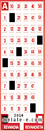 Volante ganador del sorteo 3014 de Revancha