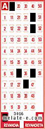 Volante ganador del sorteo 3016 de Revancha