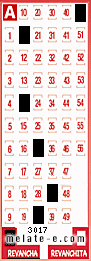 Volante ganador del sorteo 3017 de Revancha