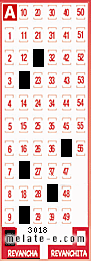 Volante ganador del sorteo 3018 de Revancha
