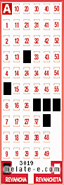 Volante ganador del sorteo 3019 de Revancha
