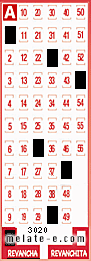 Volante ganador del sorteo 3020 de Revancha
