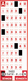 Volante ganador del sorteo 3022 de Revancha