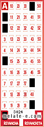 Volante ganador del sorteo 3024 de Revancha