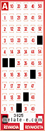 Volante ganador del sorteo 3025 de Revancha