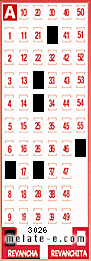 Volante ganador del sorteo 3026 de Revancha