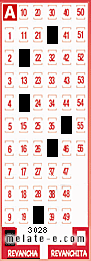 Volante ganador del sorteo 3028 de Revancha