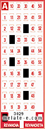 Volante ganador del sorteo 3029 de Revancha