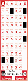 Volante ganador del sorteo 3030 de Revancha
