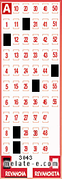 Volante ganador del sorteo 3043 de Revancha