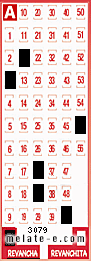 Volante ganador del sorteo 3079 de Revancha