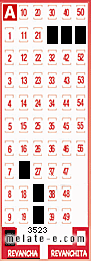 Volante ganador del sorteo 3523 de Revancha