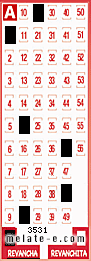 Volante ganador del sorteo 3531 de Revancha