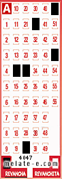 Volante ganador del sorteo 4047 de Revancha