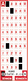 Volante ganador del sorteo 4048 de Revancha