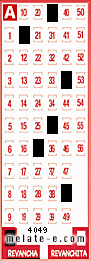Volante ganador del sorteo 4049 de Revancha