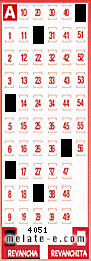 Volante ganador del sorteo 4051 de Revancha