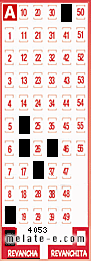 Volante ganador del sorteo 4053 de Revancha