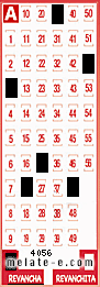 Volante ganador del sorteo 4056 de Revancha