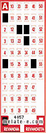 Volante ganador del sorteo 4057 de Revancha