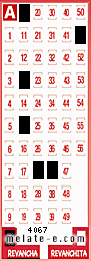 Volante ganador del sorteo de Revancha con fecha del domingo   8 de junio de 2025