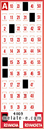 Volante ganador del sorteo 4069 de Revancha