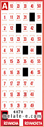 Volante ganador del sorteo 4070 de Revancha