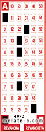 Volante ganador del sorteo 4072 de Revancha