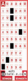 Volante ganador del sorteo 4073 de Revancha