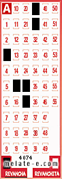 Volante ganador del sorteo 4074 de Revancha