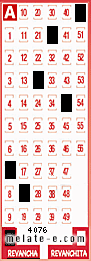 Volante ganador del sorteo de Revancha con fecha del domingo  29 de junio de 2025