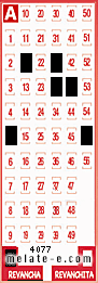 Volante ganador del sorteo 4077 de Revancha