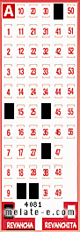 Volante ganador del sorteo 4081 de Revancha