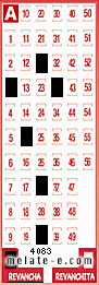 Volante ganador del sorteo 4083 de Revancha