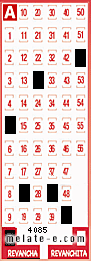 Volante ganador del sorteo 4085 de Revancha