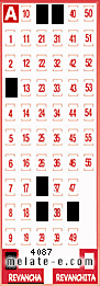 Volante ganador del sorteo 4087 de Revancha