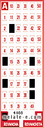 Volante ganador del sorteo 4088 de Revancha