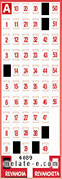 Volante ganador del sorteo 4089 de Revancha