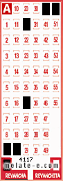 Volante ganador del sorteo 4117 de Revancha